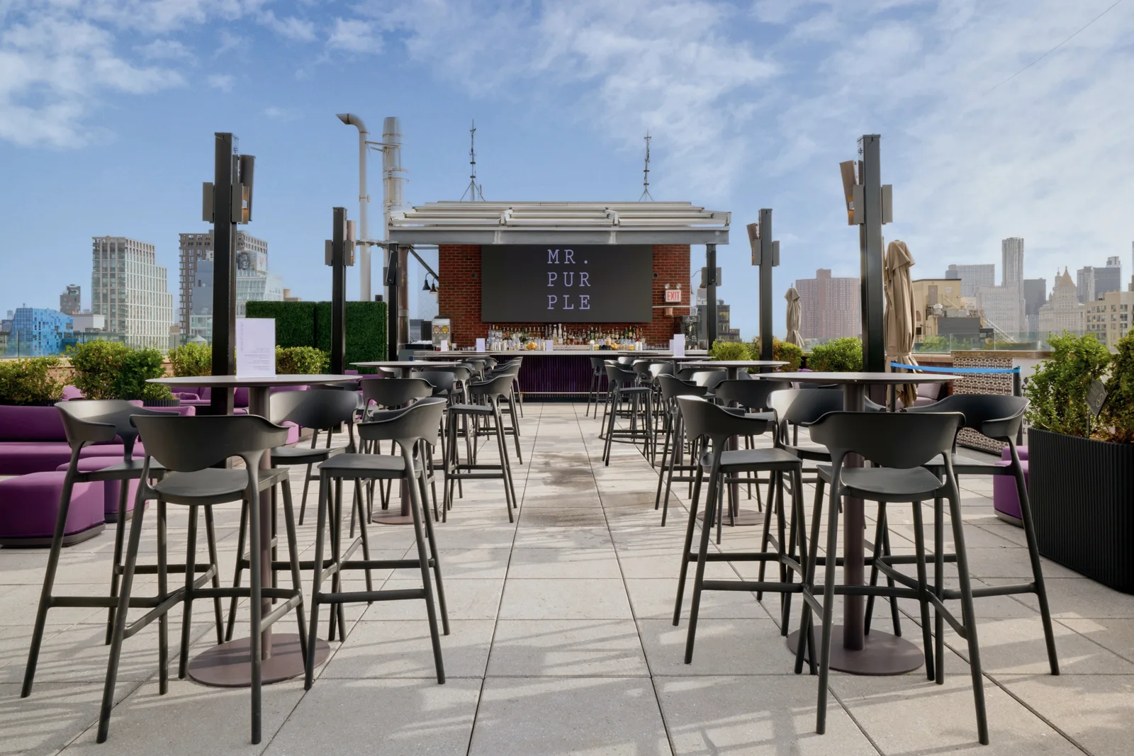 Mr. Purple — photograph from the venue
